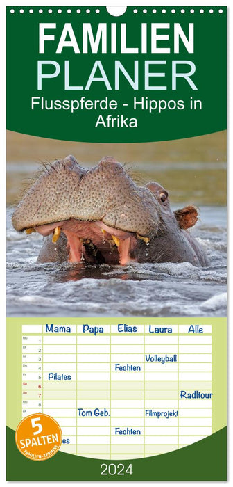 Flusspferde Magie des Augenblicks - Hippos in Afrika (CALVENDO Familienplaner 2024)