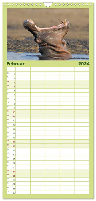 Hippopotames Magie du moment - Hippopotames en Afrique (Agenda familial CALVENDO 2024) 