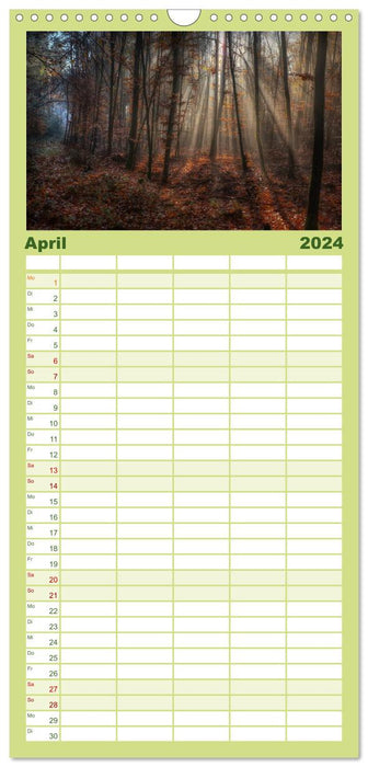Waldkalender (CALVENDO Familienplaner 2024)