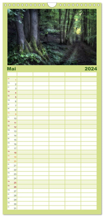 Calendrier forestier (Agenda familial CALVENDO 2024) 