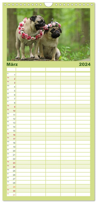 Der MOPS-Kalender (CALVENDO Familienplaner 2024)