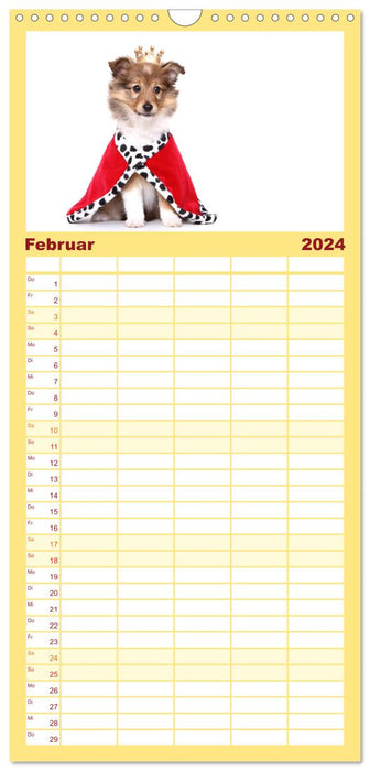 Funny Dogs (Agenda familial CALVENDO 2024) 