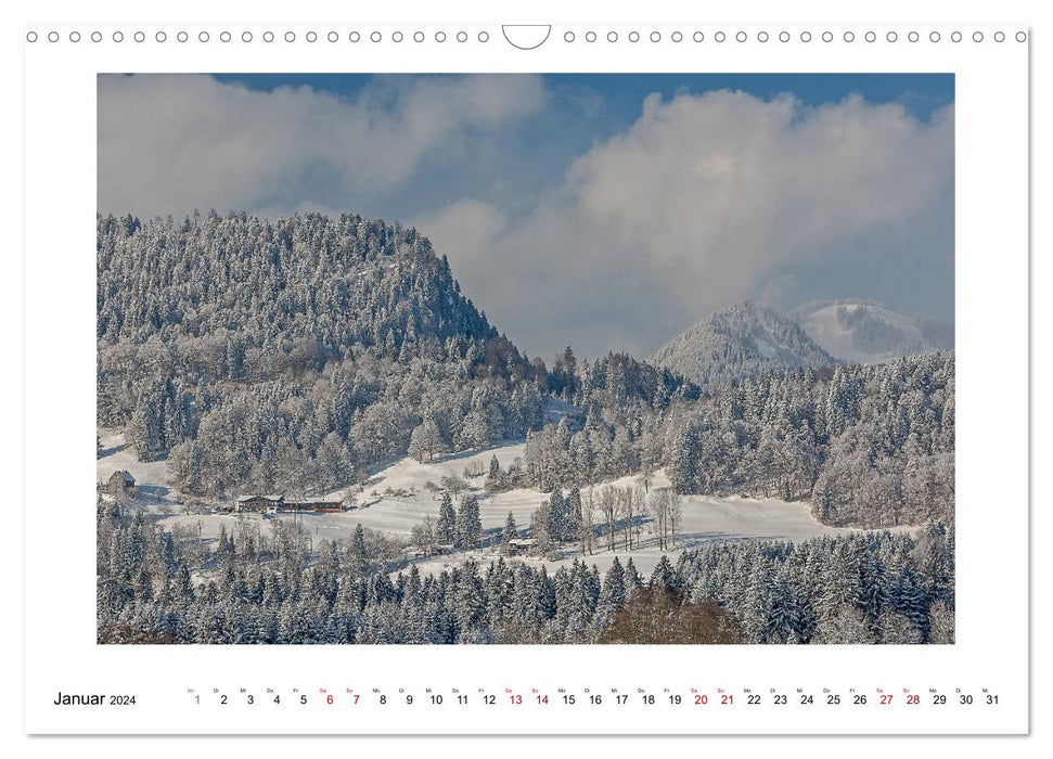 Merveilles naturelles des montagnes du Fellhorn et du Hörnergruppe (calendrier mural CALVENDO 2024) 