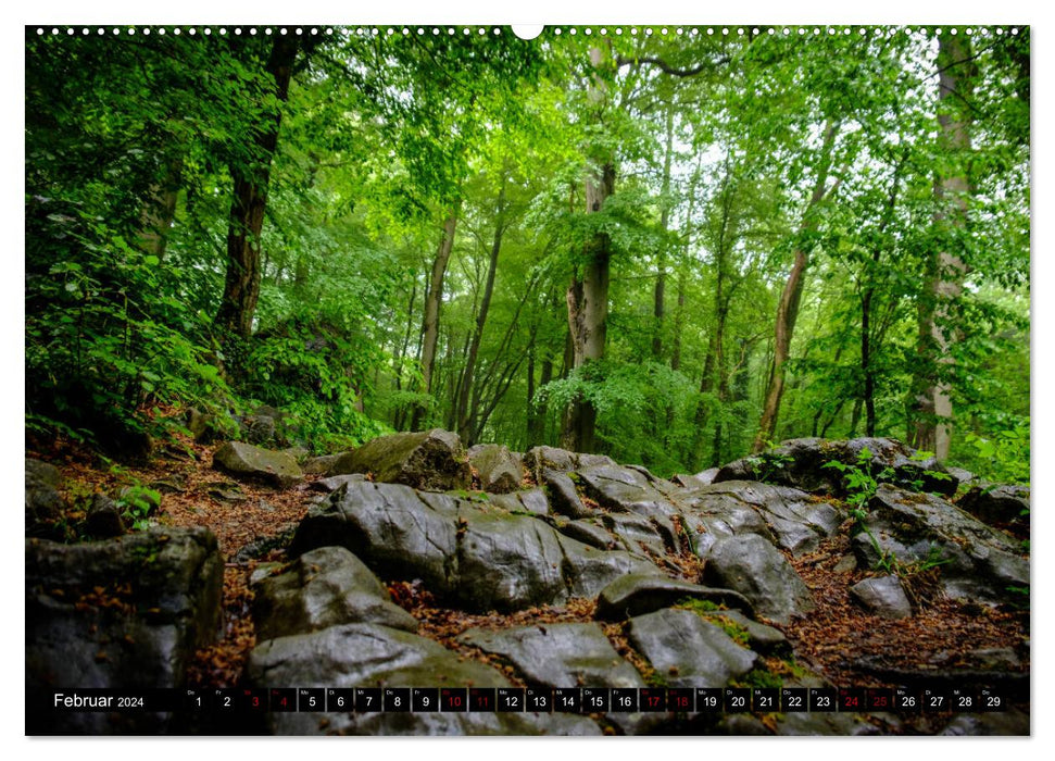 Wege des einfachen Glücks - Spaziergänge im Wald (CALVENDO Premium Wandkalender 2024)