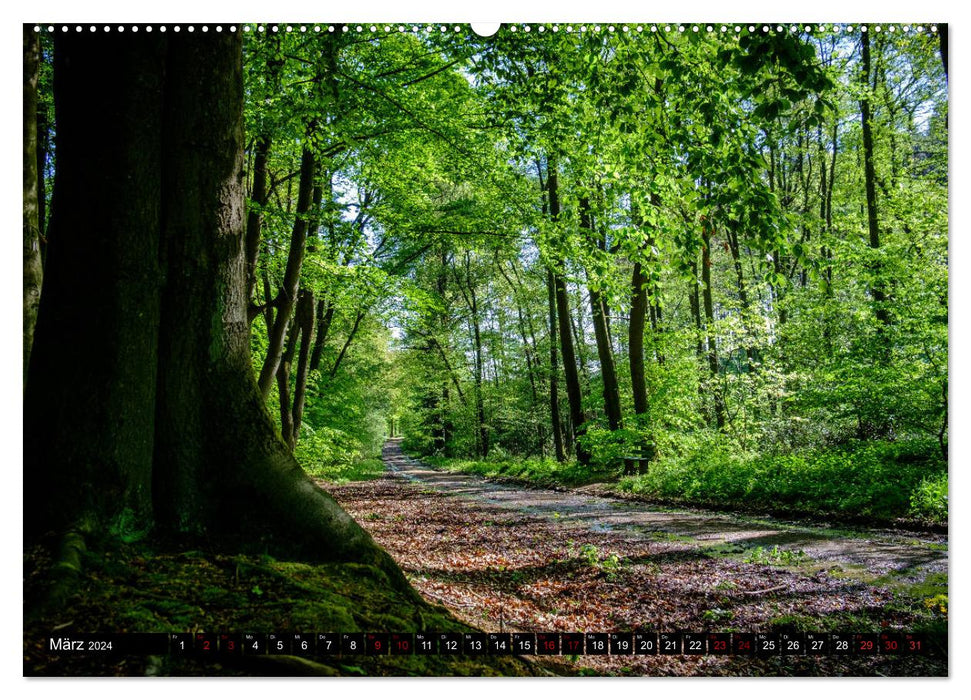 Chemins du bonheur simple - balades en forêt (Calendrier mural CALVENDO Premium 2024) 