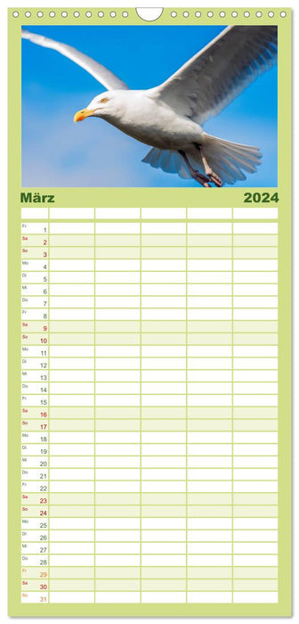 Animaux 2024 (Agenda familial CALVENDO 2024) 