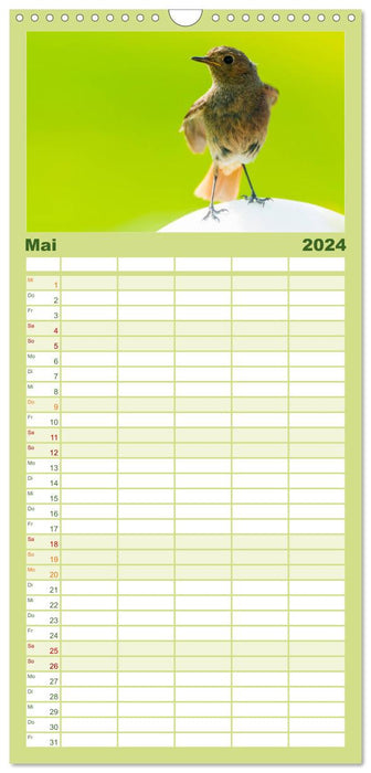 Animaux 2024 (Agenda familial CALVENDO 2024) 