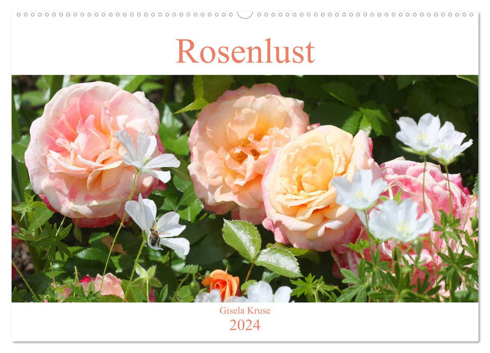 Rosenlust (CALVENDO Wandkalender 2024)