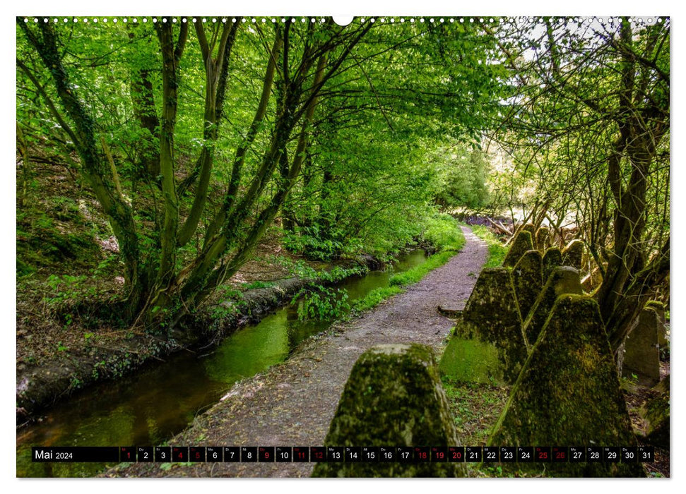 Wege des einfachen Glücks - Spaziergänge im Wald (CALVENDO Wandkalender 2024)