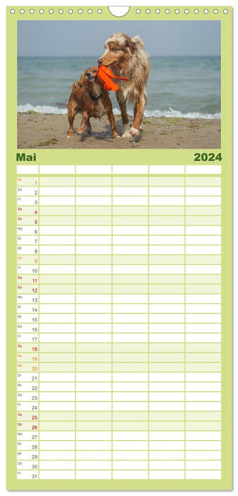POWER DOGS 2024 (Planificateur familial CALVENDO 2024) 