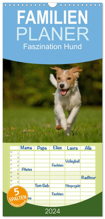 Fascination pour les chiens (Agenda familial CALVENDO 2024) 