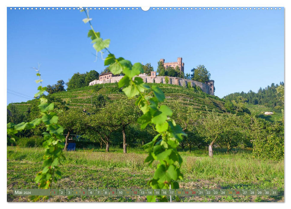 Forêt-Noire pittoresque (calendrier mural CALVENDO 2024) 