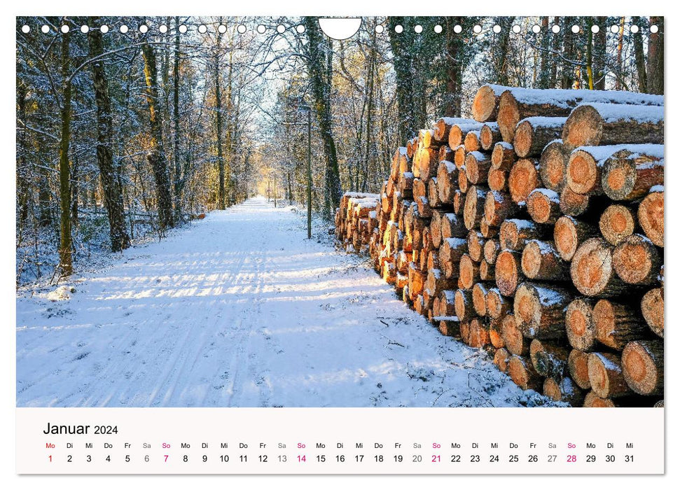 PADERBORN - Stadt an den Quellen (CALVENDO Wandkalender 2024)