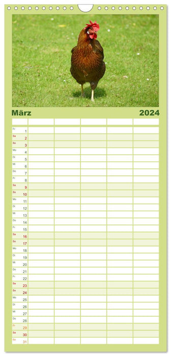 Kunterbunte Hühnerschar (CALVENDO Familienplaner 2024)
