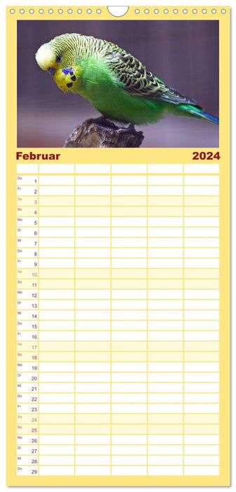 Perruches (Agenda familial CALVENDO 2024) 