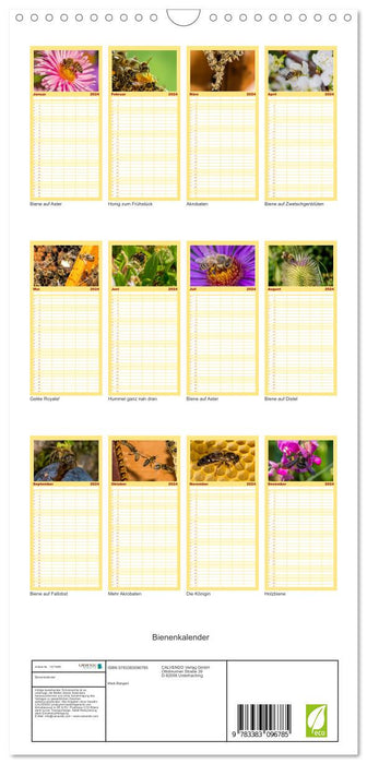 Calendrier des abeilles (Agenda familial CALVENDO 2024) 
