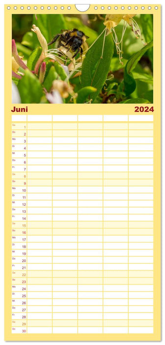 Bienenkalender (CALVENDO Familienplaner 2024)
