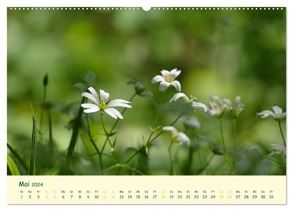 Naturwunder Blüten (CALVENDO Premium Wandkalender 2024)