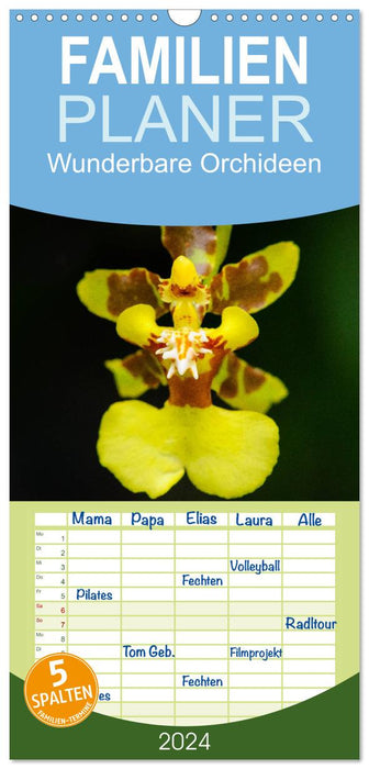 Magnifiques orchidées (Agenda familial CALVENDO 2024) 