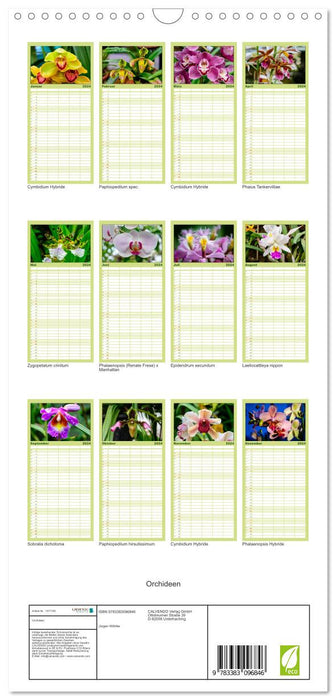 Wunderbare Orchideen (CALVENDO Familienplaner 2024)