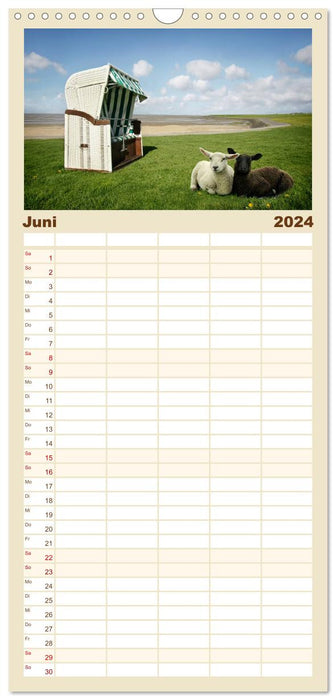 Mouton de la mer du Nord (Agenda familial CALVENDO 2024) 