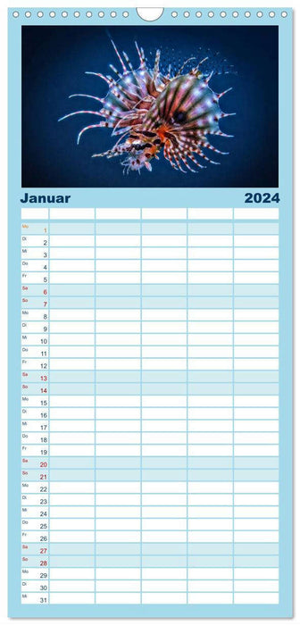 Voir la mer - plongée aventure (Agenda familial CALVENDO 2024) 