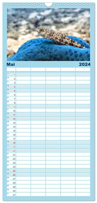 Voir la mer - plongée aventure (Agenda familial CALVENDO 2024) 