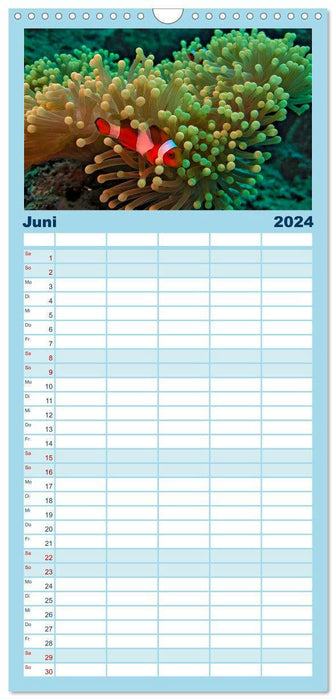 Voir la mer - plongée aventure (Agenda familial CALVENDO 2024) 
