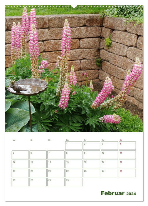 Lupinensommer (CALVENDO Premium Wandkalender 2024)