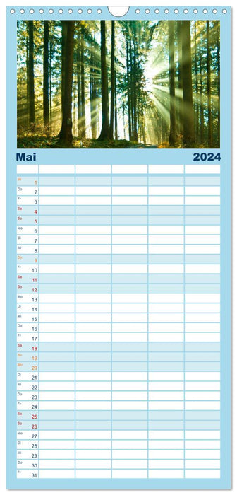 Les arbres font rêver (Agenda familial CALVENDO 2024) 