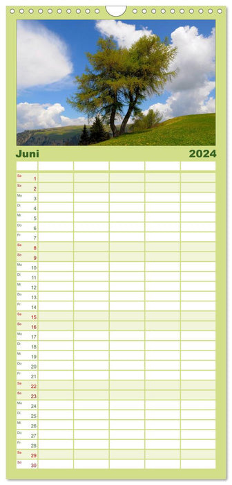 Bäume 2024 (CALVENDO Familienplaner 2024)