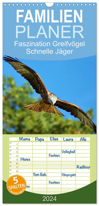 Fascination pour les oiseaux de proie, chasseurs rapides (Agenda familial CALVENDO 2024) 