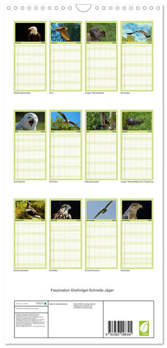 Fascination pour les oiseaux de proie, chasseurs rapides (Agenda familial CALVENDO 2024) 