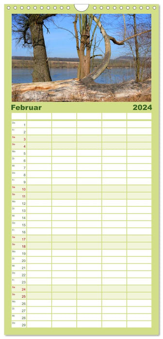 Forêt et Arbre 2024 (Planificateur familial CALVENDO 2024) 