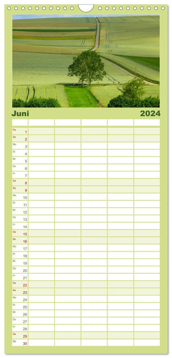 Forêt et Arbre 2024 (Planificateur familial CALVENDO 2024) 