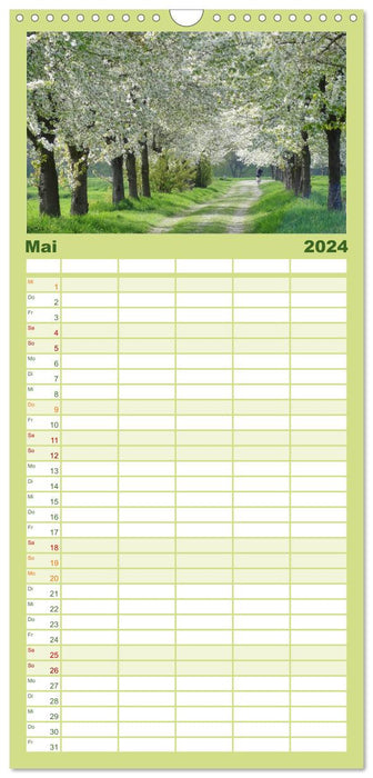 Portraits d'arbres 2024 (Agenda familial CALVENDO 2024) 