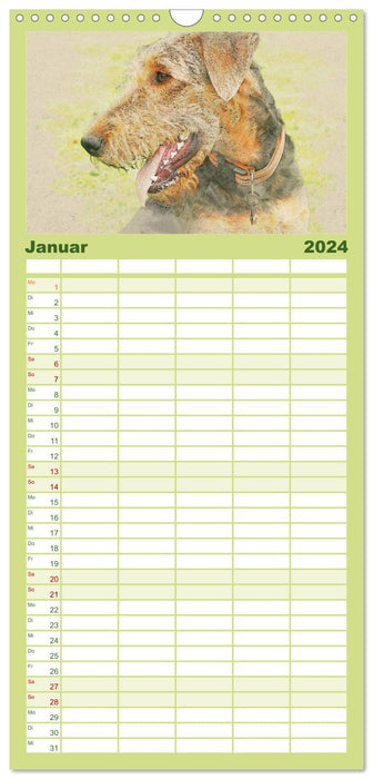 Airedale Terrier 2024 (Planificateur familial CALVENDO 2024) 