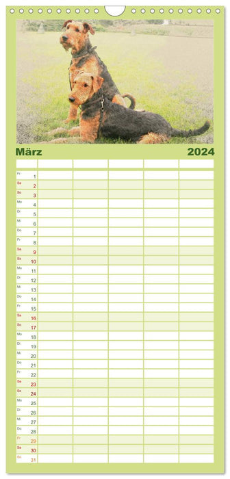 Airedale Terrier 2024 (CALVENDO Familienplaner 2024)
