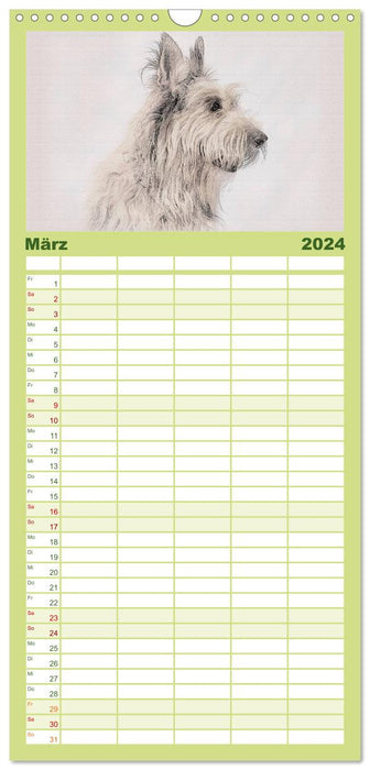 Französische Hirtenhunde 2024 (CALVENDO Familienplaner 2024)