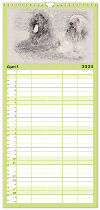 Chiens de berger français 2024 (Agenda familial CALVENDO 2024) 