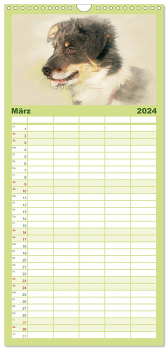 Hundewelpen 2024 (CALVENDO Familienplaner 2024)