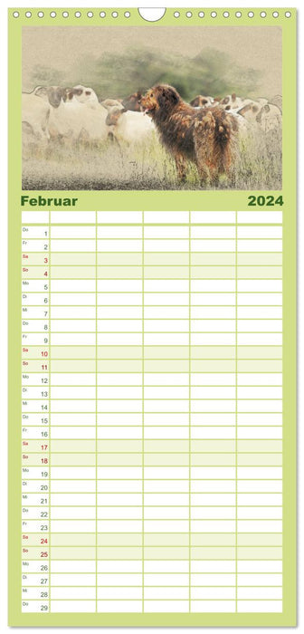 Vieux bergers allemands 2024 (Agenda familial CALVENDO 2024) 