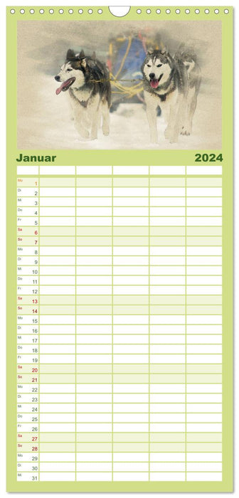 Chiens de traîneau 2024 (Agenda familial CALVENDO 2024) 