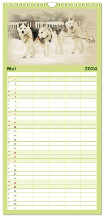 Schlittenhunde 2024 (CALVENDO Familienplaner 2024)