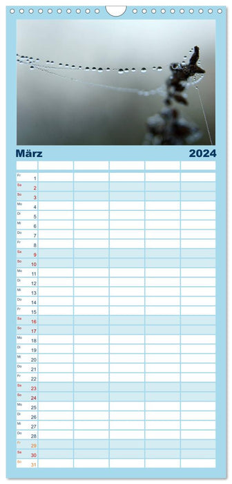 AQUA 2024 (Planificateur familial CALVENDO 2024) 