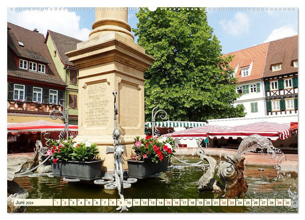 Ladenburg - Die Römerstadt am Neckar (CALVENDO Wandkalender 2024)