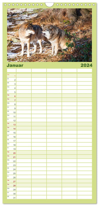 Tierkalender 2024 (CALVENDO Familienplaner 2024)