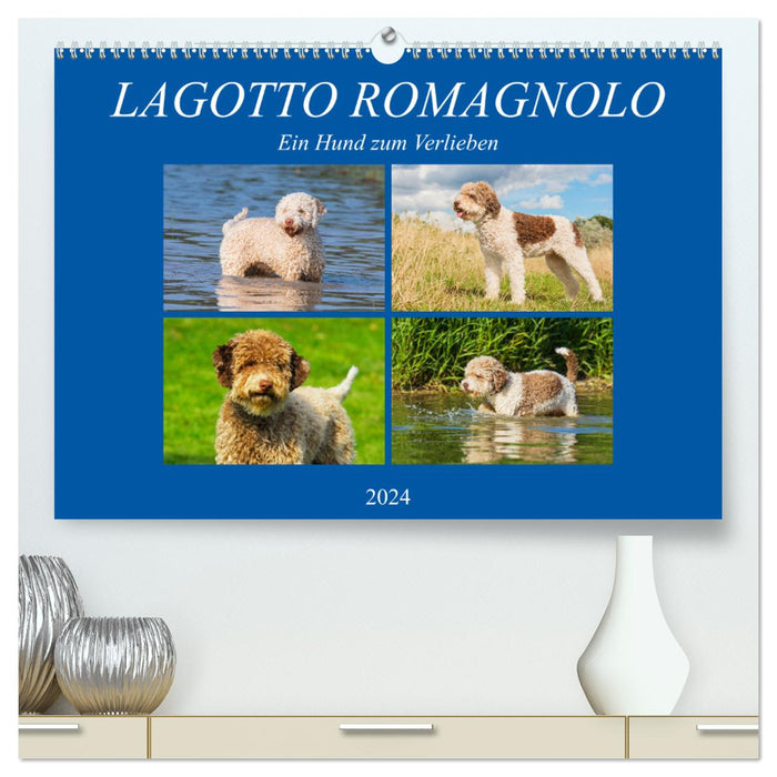 Lagotto Romagnolo - Un chien dont on tombe amoureux (Calendrier mural CALVENDO Premium 2024) 