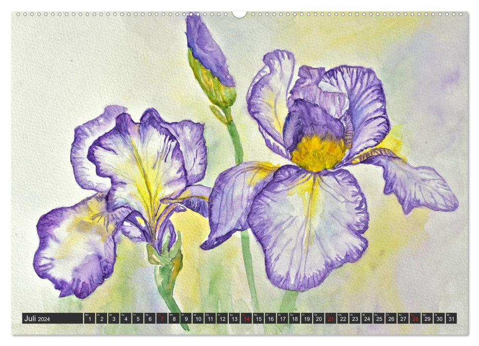 Images de fleurs à l'aquarelle (Calendrier mural CALVENDO Premium 2024) 