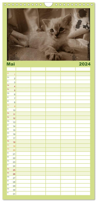 Calendrier chat de grand-mère 2024 (Agenda familial CALVENDO 2024) 